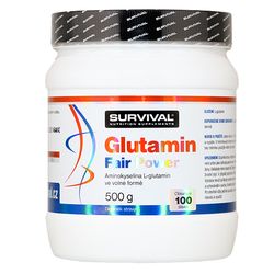 Survival Glutamin Fair Power 500g