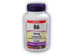 Webber Naturals Vitamin B6 100 mg 90 tablet
