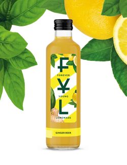 Ginger Beer - Zázvorové pivo